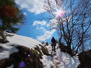MONTE SUCHELLO (1541 m), fiorito in basso , innevato in alto, da Costa Serina il 19 marzo 2026  - FOTOGALLERY